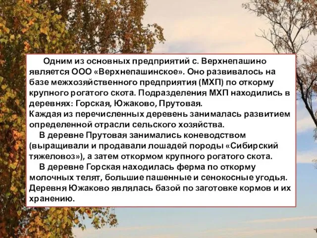 Одним из основных предприятий с. Верхнепашино является ООО «Верхнепашинское». Оно