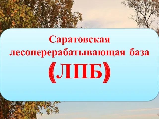 Саратовская лесоперерабатывающая база (ЛПБ)