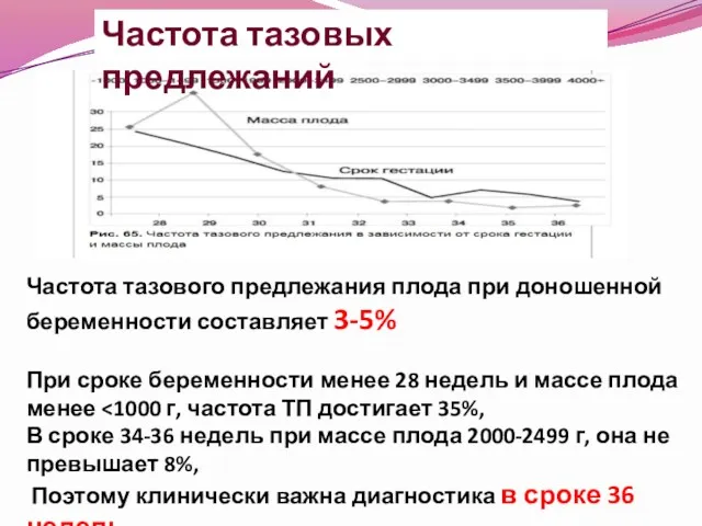 Частота тазовых предлежаний Частота тазового предлежания плода при доношенной беременности