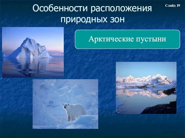 Особенности расположения природных зон Арктические пустыни Слайд 19