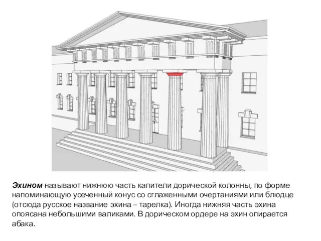 Эхином называют нижнюю часть капители дорической колонны, по форме напоминающую