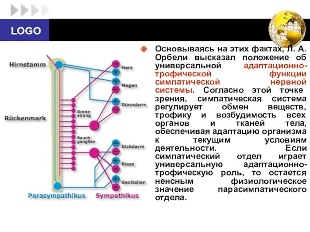 Основываясь на этих фактах, Л. А. Орбели высказал положение об