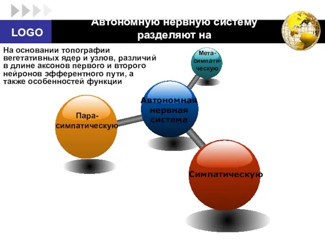 Автономную нервную систему разделяют на Автономная нервная система Симпатическую Пара-