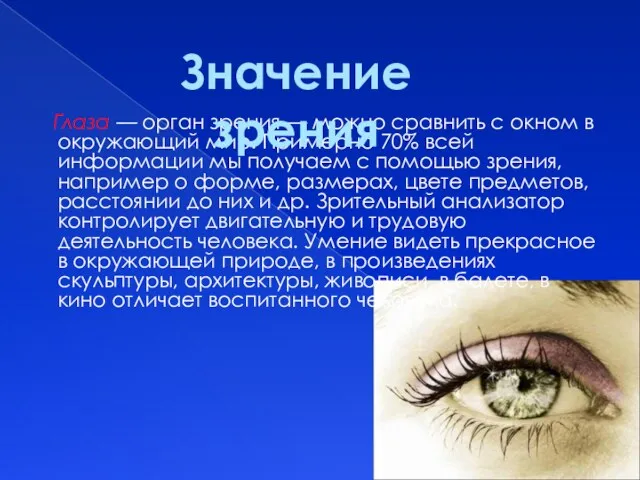 Глаза — орган зрения — можно сравнить с окном в