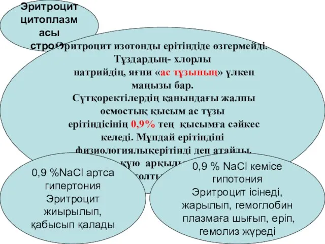 Эритроцит цитоплазмасы строма Эритроцит изотонды ерітіндіде өзгермейді. Тұздардың- хлорлы натрийдің,