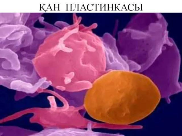 ҚАН ПЛАСТИНКАСЫ