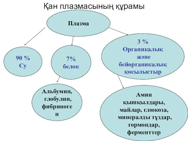 Қан плазмасының құрамы Плазма 90 % Су 7% белок 3