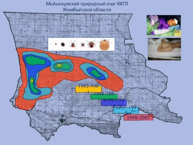 Мойынкумский природный очаг ККГЛ Жамбылской области