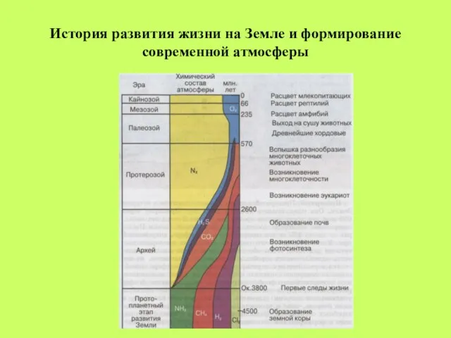 История развития жизни на Земле и формирование современной атмосферы