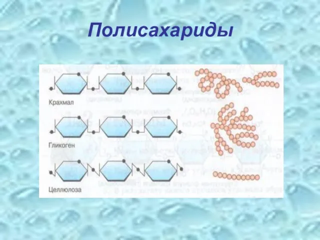 Полисахариды