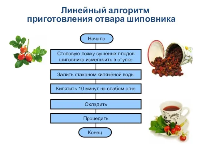 Начало Столовую ложку сушёных плодов шиповника измельчить в ступке Залить