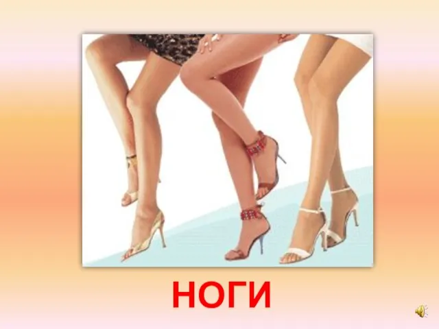 НОГИ