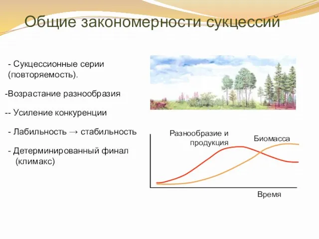 Общие закономерности сукцессий - Сукцессионные серии (повторяемость). Возрастание разнообразия -