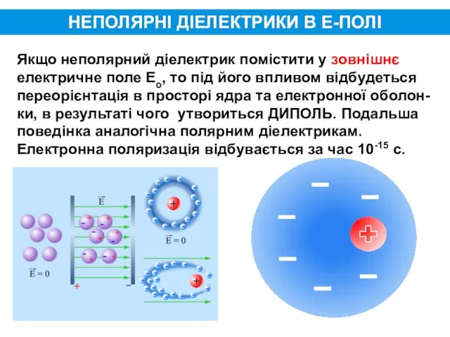 НЕПОЛЯРНІ ДІЕЛЕКТРИКИ В Е-ПОЛІ Якщо неполярний діелектрик помістити у зовнішнє електричне поле Eo,