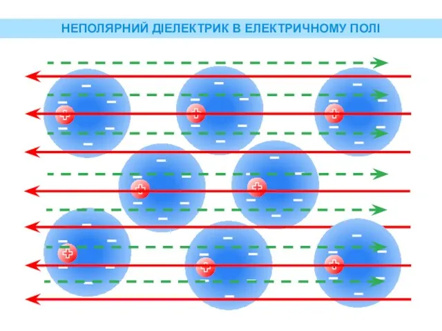 НЕПОЛЯРНИЙ ДІЕЛЕКТРИК В ЕЛЕКТРИЧНОМУ ПОЛІ