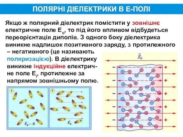 ПОЛЯРНІ ДІЕЛЕКТРИКИ В Е-ПОЛІ Якщо ж полярний діелектрик помістити у зовнішнє електричне поле