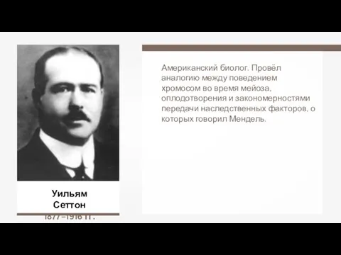 Уильям Сеттон 1877–1916 гг. Американский биолог. Провёл аналогию между поведением