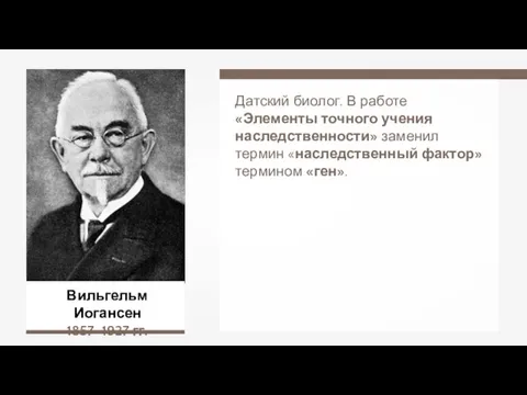 Вильгельм Иогансен 1857–1927 гг. Датский биолог. В работе «Элементы точного