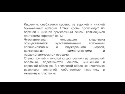 Кишечник снабжается кровью из верхней и нижней брыжеечных артерий. Отток