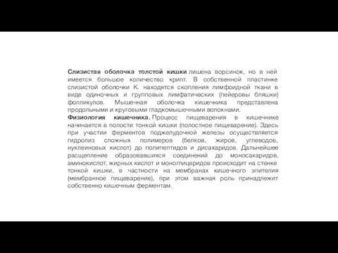 Слизистая оболочка толстой кишки лишена ворсинок, но в ней имеется