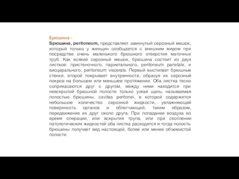 Брюшина - Брюшина, peritoneum, представляет замкнутый серозный мешок, который только