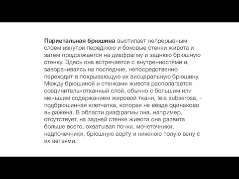 Париетальная брюшина выстилает непрерывным слоем изнутри переднюю и боковые стенки