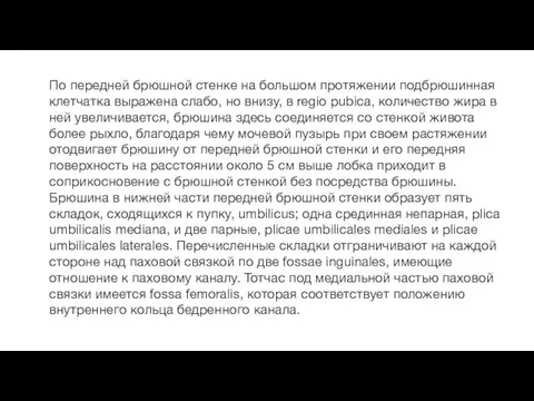 По передней брюшной стенке на большом протяжении подбрюшинная клетчатка выражена