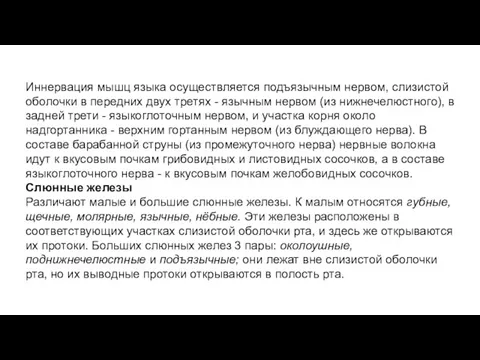 Иннервация мышц языка осуществляется подъязычным нервом, слизистой оболочки в передних