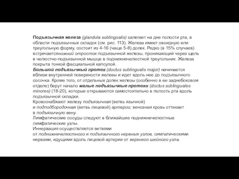 Подъязычная железа (glandula sublingualis) залегает на дне полости рта, в