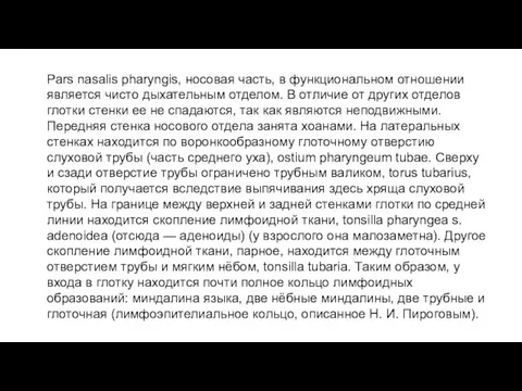 Pars nasalis pharyngis, носовая часть, в функциональном отношении является чисто