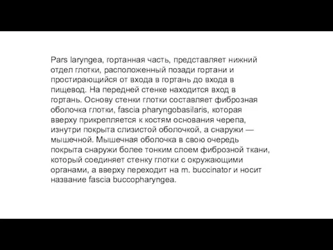 Pars laryngea, гортанная часть, представляет нижний отдел глотки, расположенный позади