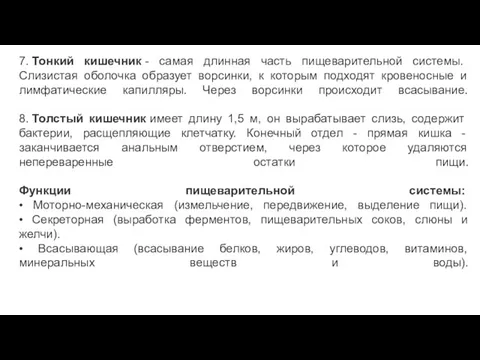 7. Тонкий кишечник - самая длинная часть пищеварительной системы. Слизистая