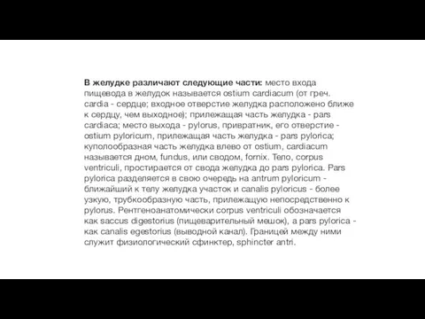 В желудке различают следующие части: место входа пищевода в желудок