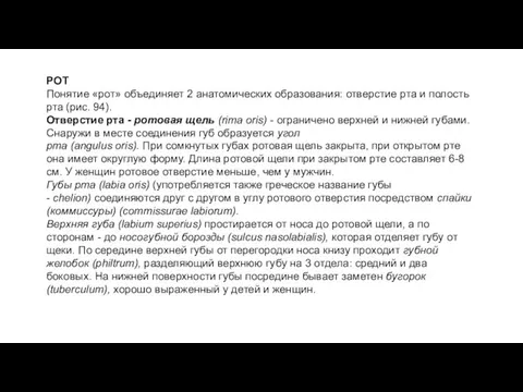 РОТ Понятие «рот» объединяет 2 анатомических образования: отверстие рта и