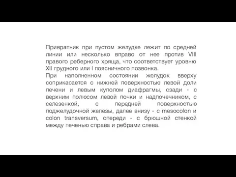 Привратник при пустом желудке лежит по средней линии или несколько