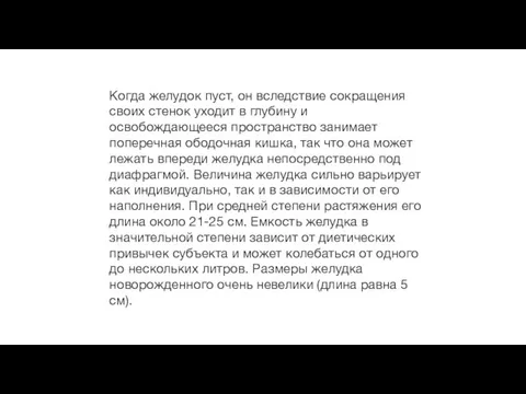 Когда желудок пуст, он вследствие сокращения своих стенок уходит в