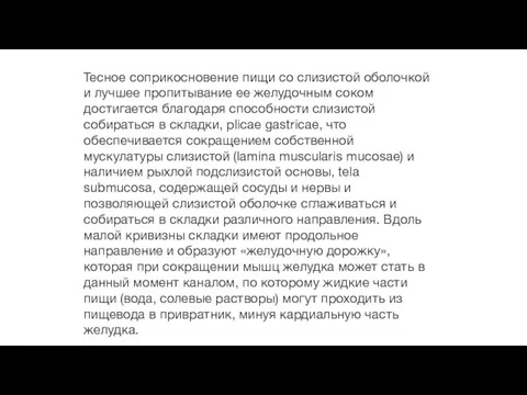 Тесное соприкосновение пищи со слизистой оболочкой и лучшее пропитывание ее