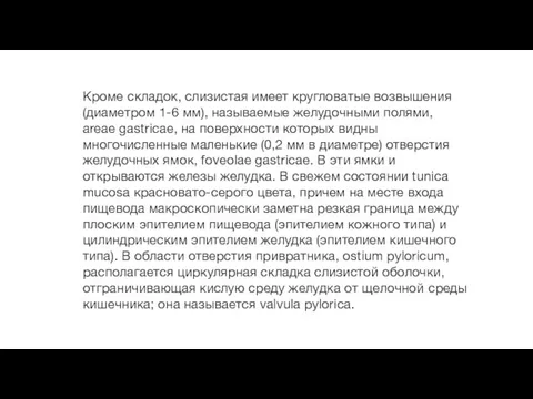 Кроме складок, слизистая имеет кругловатые возвышения (диаметром 1-6 мм), называемые