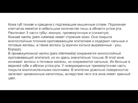 Кожа губ тонкая и сращена с подлежащим мышечным слоем. Подкожная