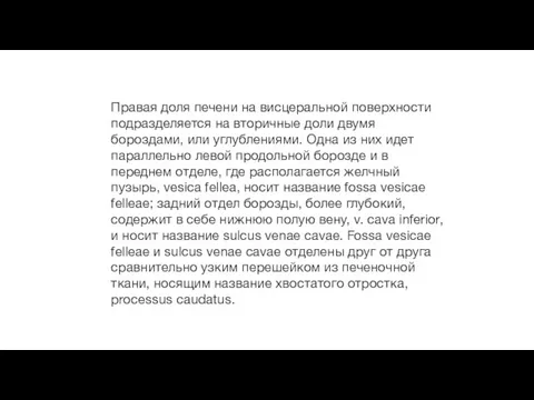 Правая доля печени на висцеральной поверхности подразделяется на вторичные доли