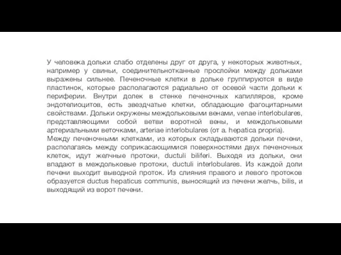 У человека дольки слабо отделены друг от друга, у некоторых