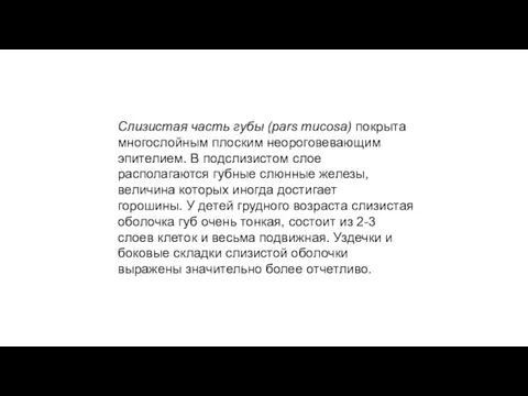 Слизистая часть губы (pars mucosa) покрыта многослойным плоским неороговевающим эпителием.