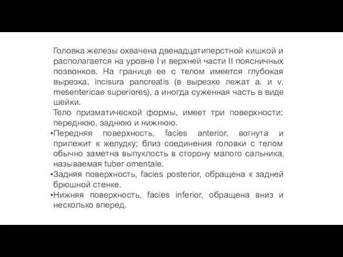 Головка железы охвачена двенадцатиперстной кишкой и располагается на уровне I