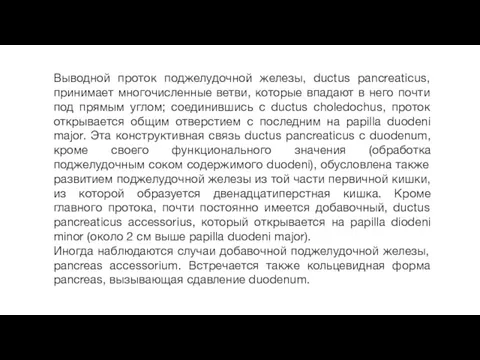 Выводной проток поджелудочной железы, ductus pancreaticus, принимает многочисленные ветви, которые