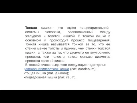 Тонкая кишка - это отдел пищеварительной системы человека, расположенный между