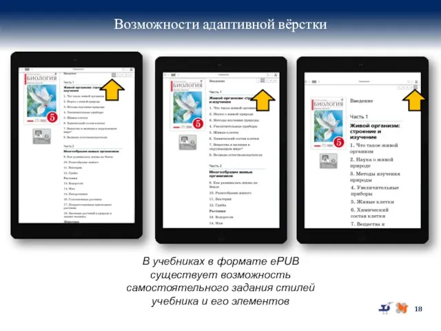 Возможности адаптивной вёрстки В учебниках в формате ePUB существует возможность