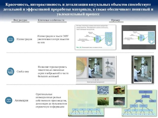 Красочность, интерактивность и детализация визуальных объектов способствует детальной и эффективной