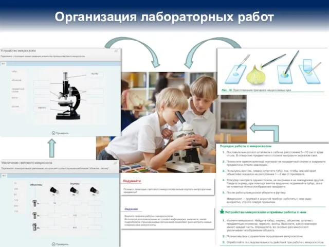 Организация лабораторных работ