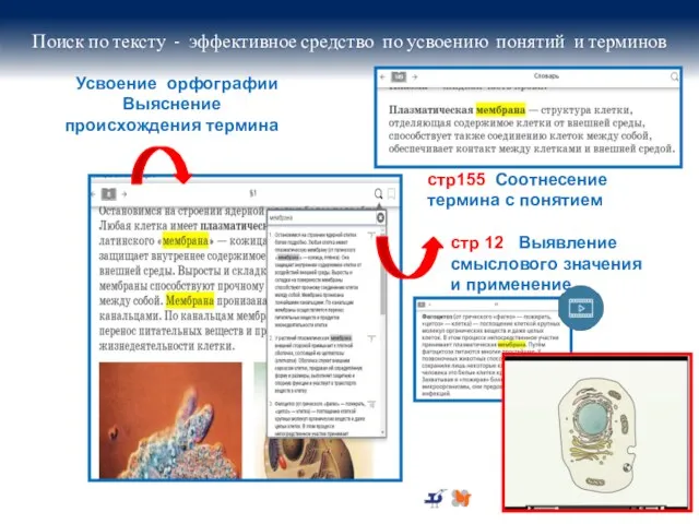 Поиск по тексту - эффективное средство по усвоению понятий и