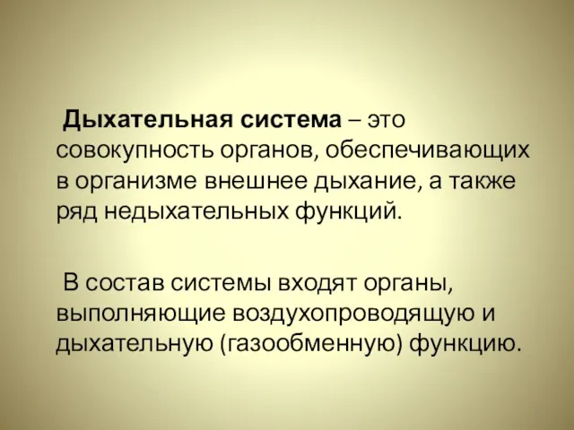 Дыхательная система – это совокупность органов, обеспечивающих в организме внешнее